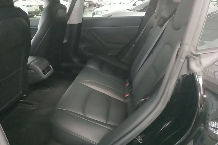 Tesla Model 3 2020 #13 Tesla Model 3 2020 car image #13