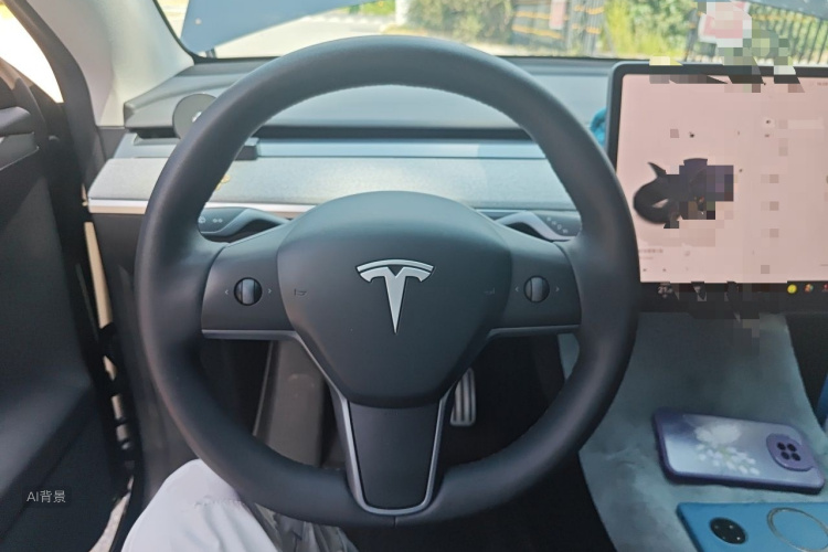Tesla Model Y 2024 car image #12