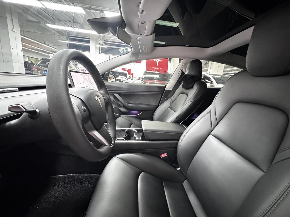 Tesla Model 3 2020 car image #13