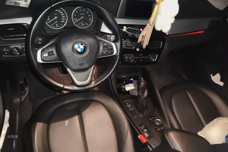 BMW X1 2017 car image #11