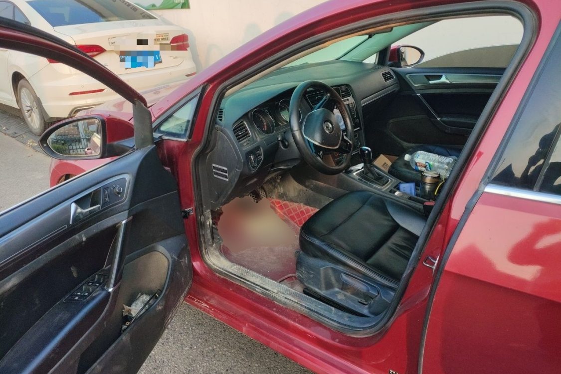 Volkswagen Golf 2014 car image #23