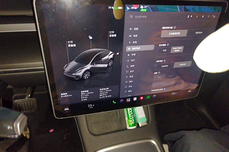Tesla Model Y 2022 صورة سيارة #15