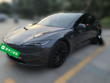Tesla Model 3 2024 car image 