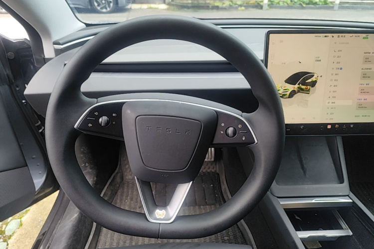 Tesla Model 3 2024 car image #11