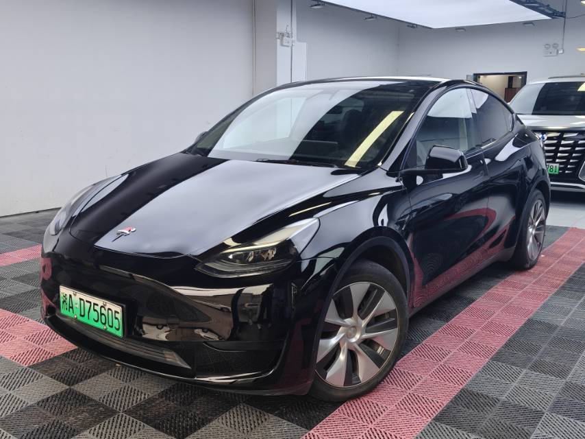Tesla Model Y 2022 car image 