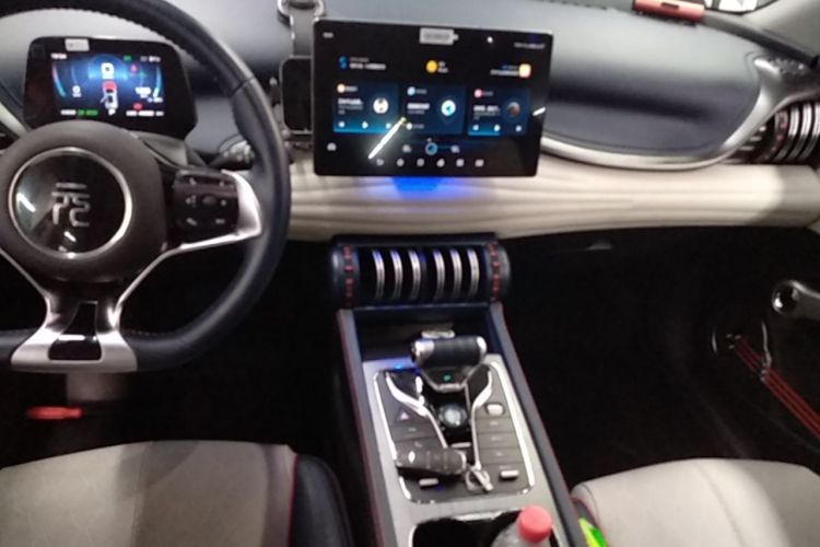 BYD Yuan Plus 2022 car image #14