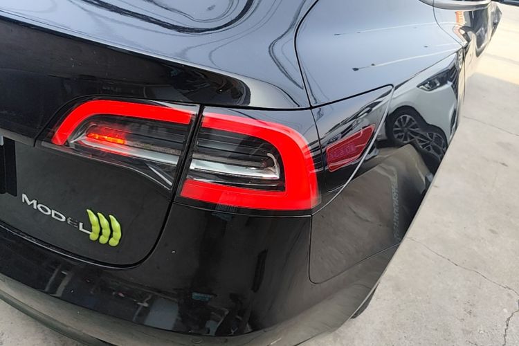 Tesla Model 3 2022 car image #8