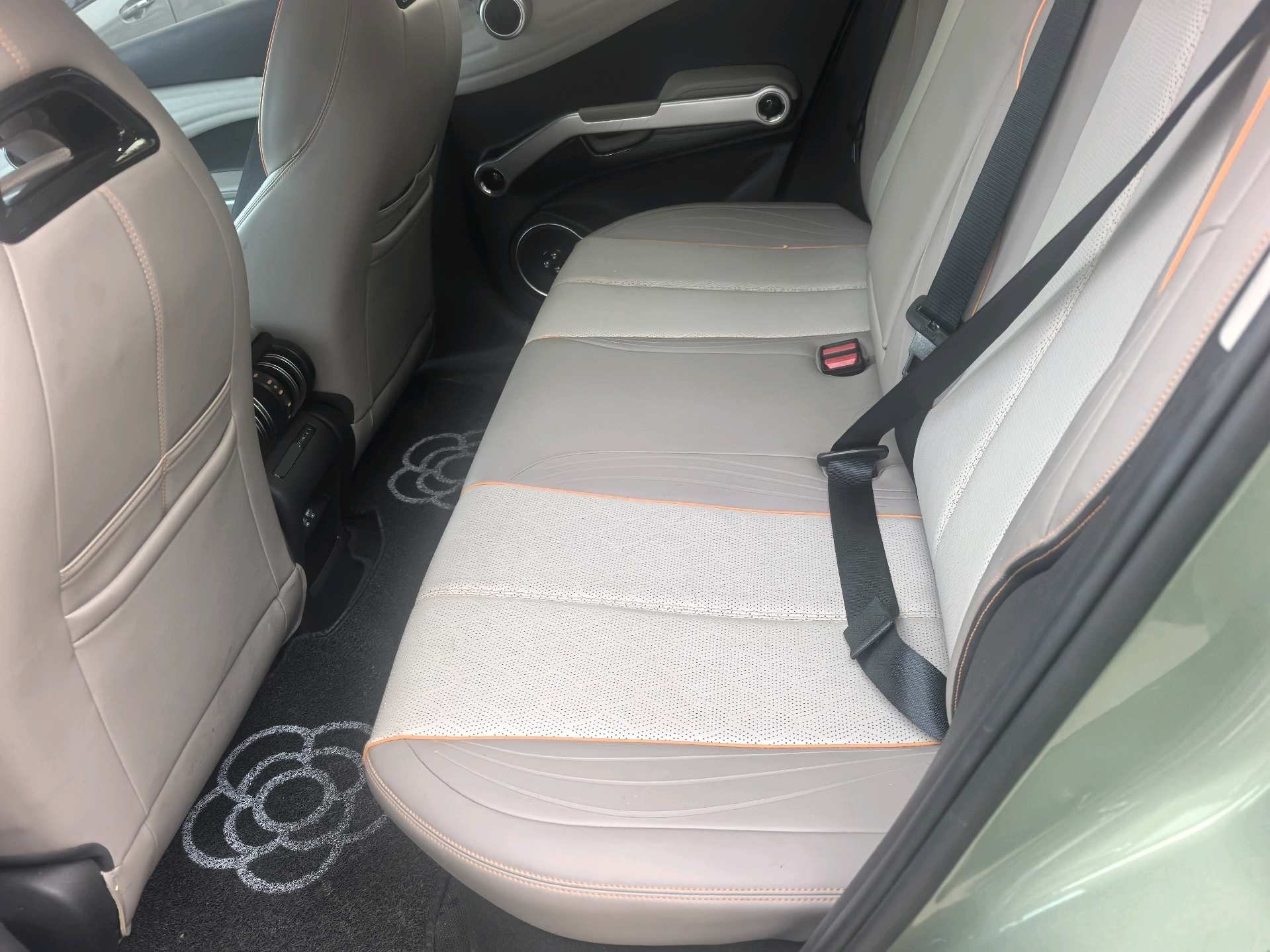 BYD Yuan Plus 2023 car image #6