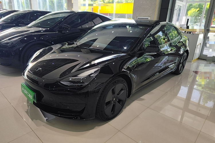 Tesla Model 3 2023 car image #2