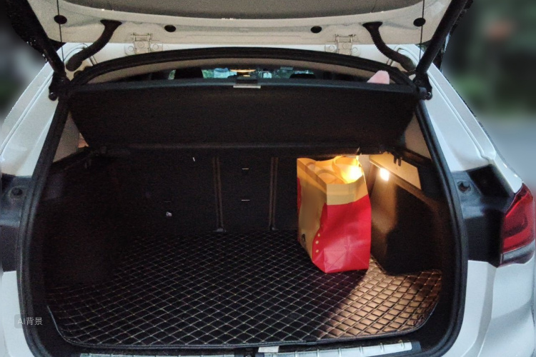 BMW X1 2020 car image #21