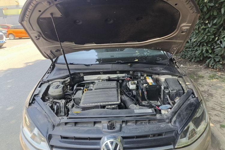 Volkswagen Golf 2016 car image #22