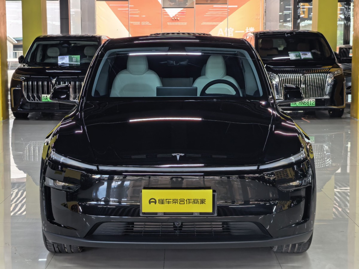 Tesla Model Y 2025 car image #2