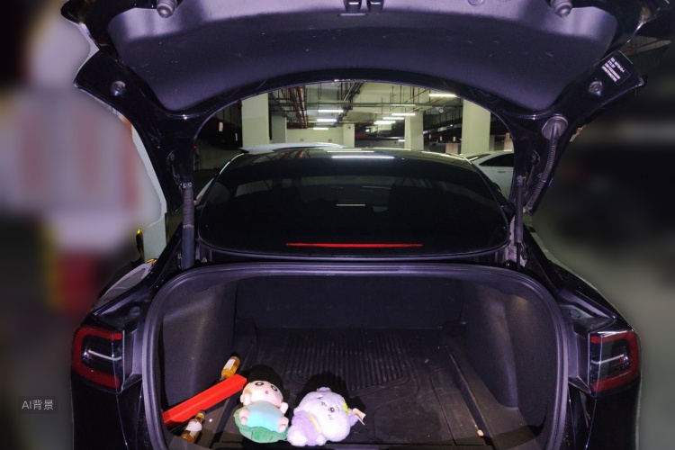 Tesla Model 3 2022 #21 Tesla Model 3 2022 car image #21