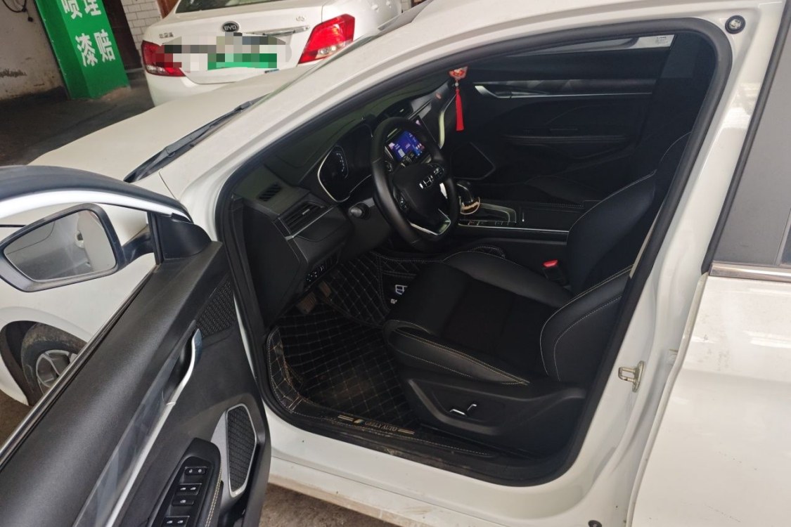 GEELY Binray 2021 #23 GEELY Binray 2021 immagine di auto #23
