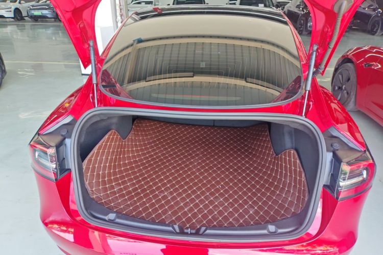Tesla Model 3 2020 car image #19