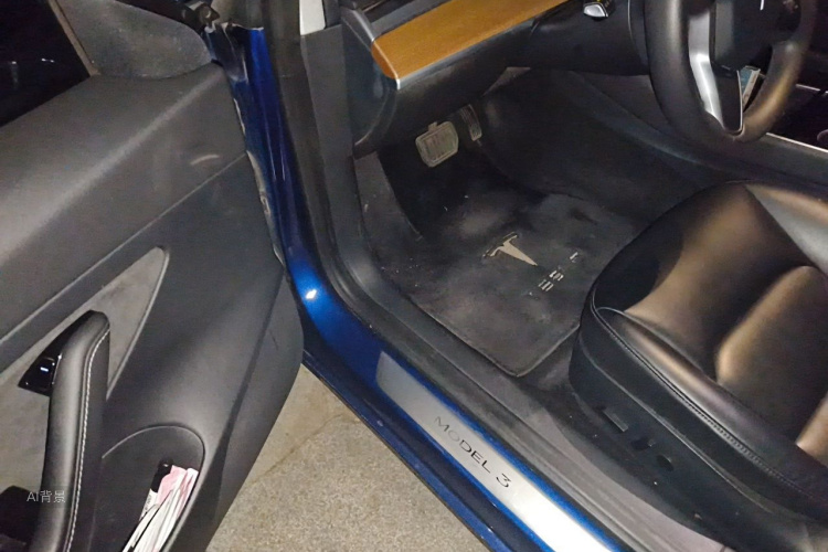 Tesla Model 3 2020 car image #18