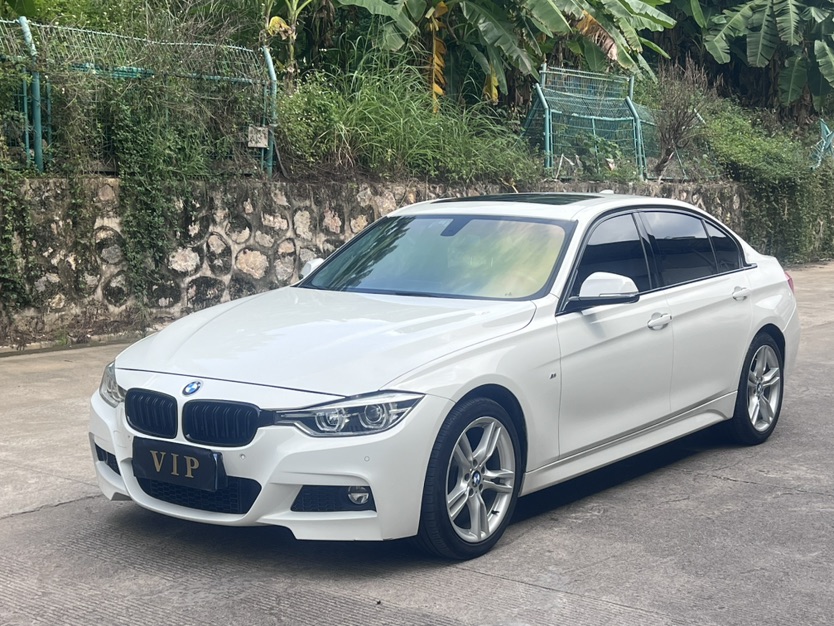 BMW 3 Series 2019 BMW 3 Series 2019 imagen de coche