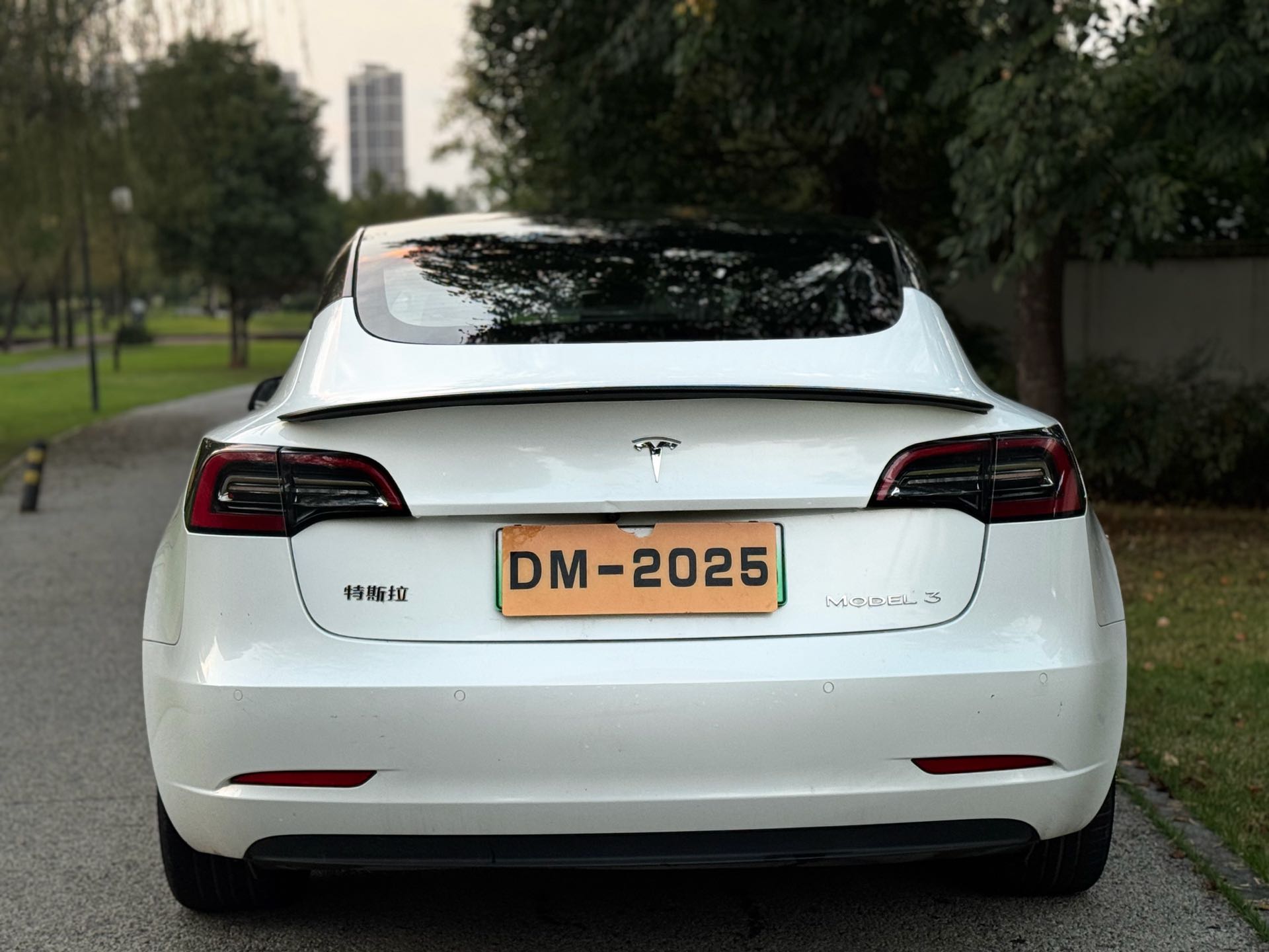 Tesla Model 3 2021 car image #7
