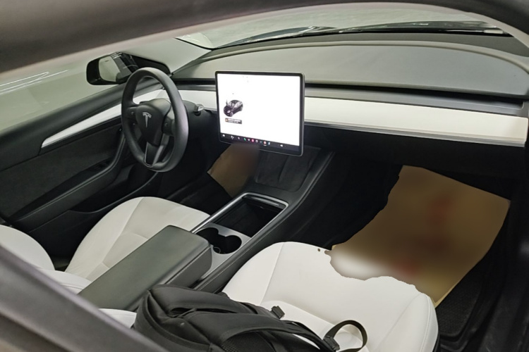 Tesla Model 3 2021 #10 Tesla Model 3 2021 car image #10