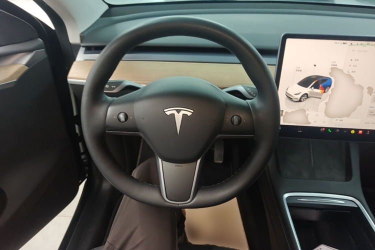 Tesla Model Y 2022 car image #11