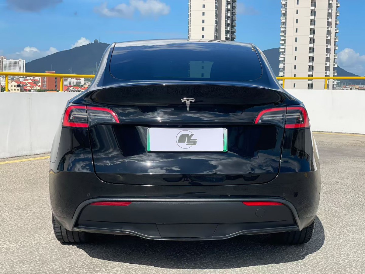 Tesla Model Y 2021 car image #9