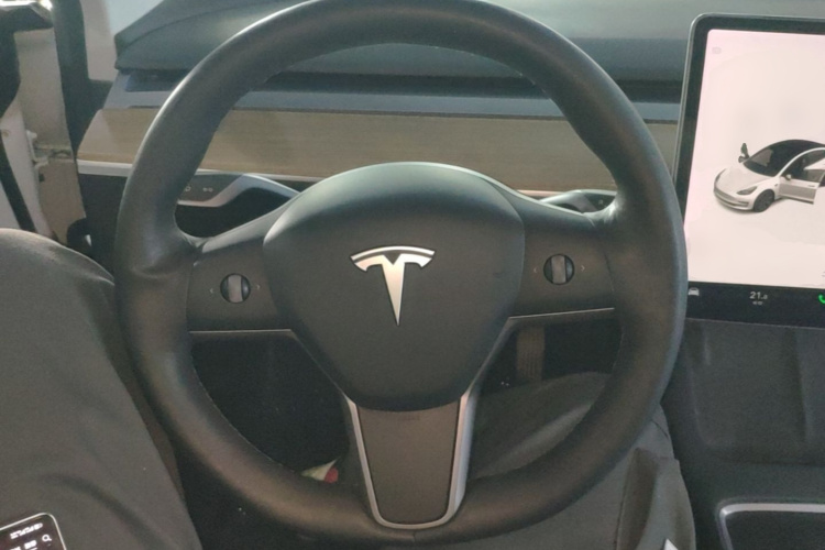 Tesla Model 3 2021 #11 Tesla Model 3 2021 car image #11