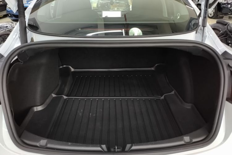 Tesla Model 3 2021 #19 Tesla Model 3 2021 car image #19