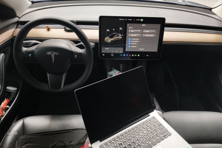 Tesla Model 3 2021 car image #11
