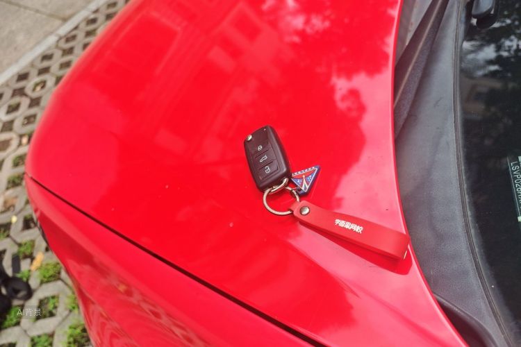 Volkswagen Polo 2015 car image #10
