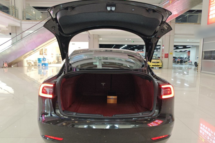 Tesla Model 3 2021 #19 Tesla Model 3 2021 immagine di auto #19