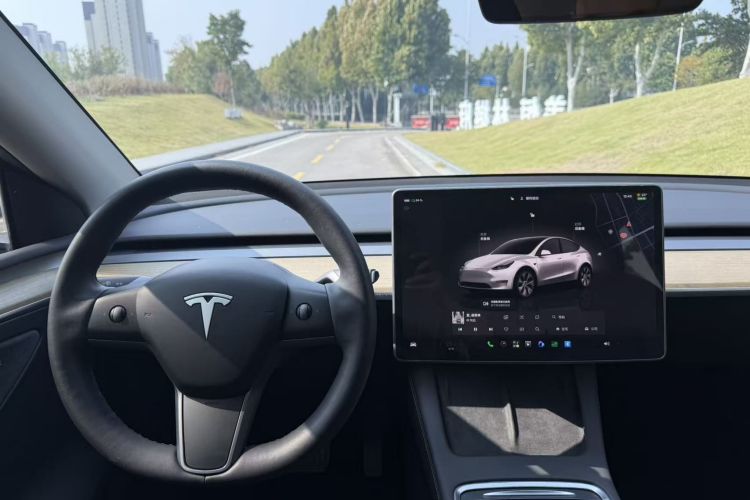 Tesla Model Y 2022 #13 Tesla Model Y 2022 car image #13