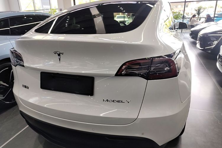 Tesla Model Y 2021 #6 Tesla Model Y 2021 car image #6