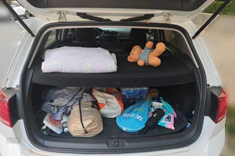 Volkswagen Golf 2019 car image #21