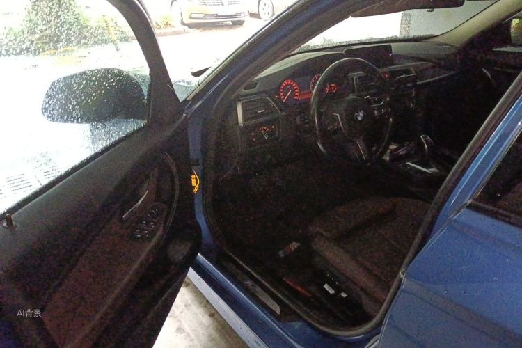 BMW 3 Series 2017 #18 BMW 3 Series 2017 car image #18
