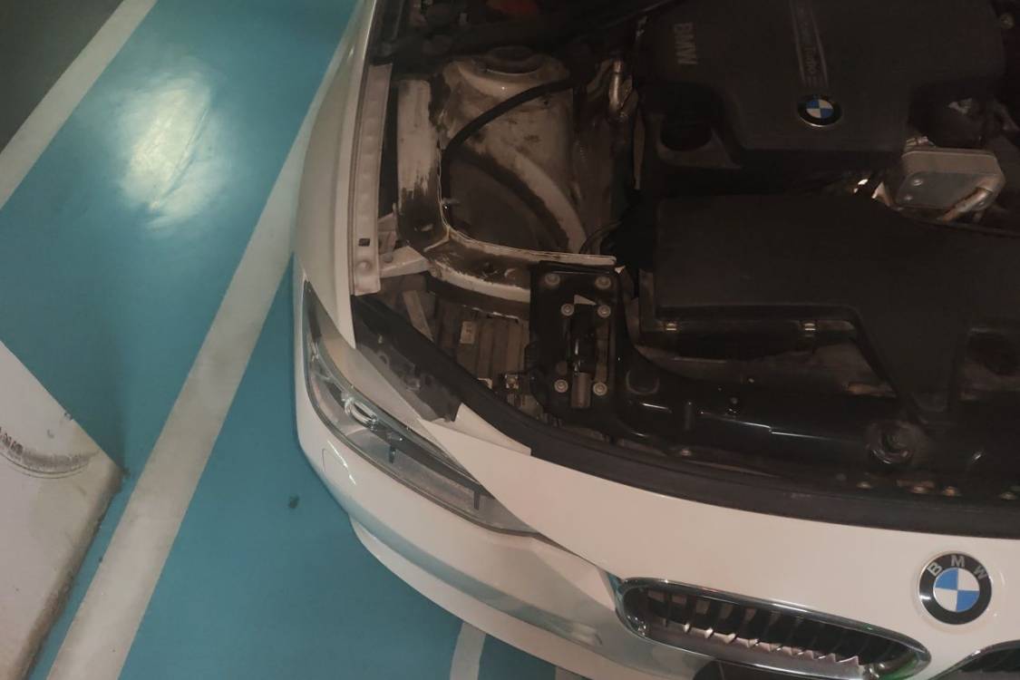 BMW 3 Series 2014 #11 BMW 3 Series 2014 car image #11