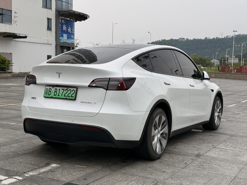 Tesla Model Y 2022 car image #9