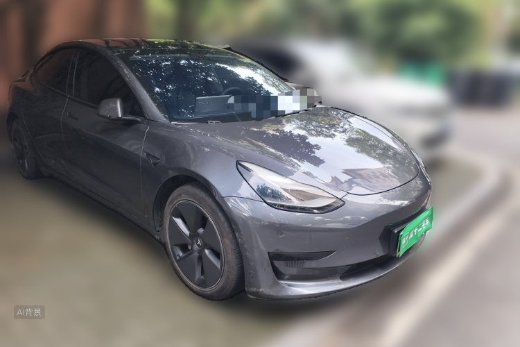 Tesla Model 3 2021 car image #4
