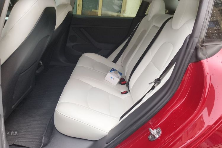 Tesla Model 3 2021 #19 Tesla Model 3 2021 car image #19