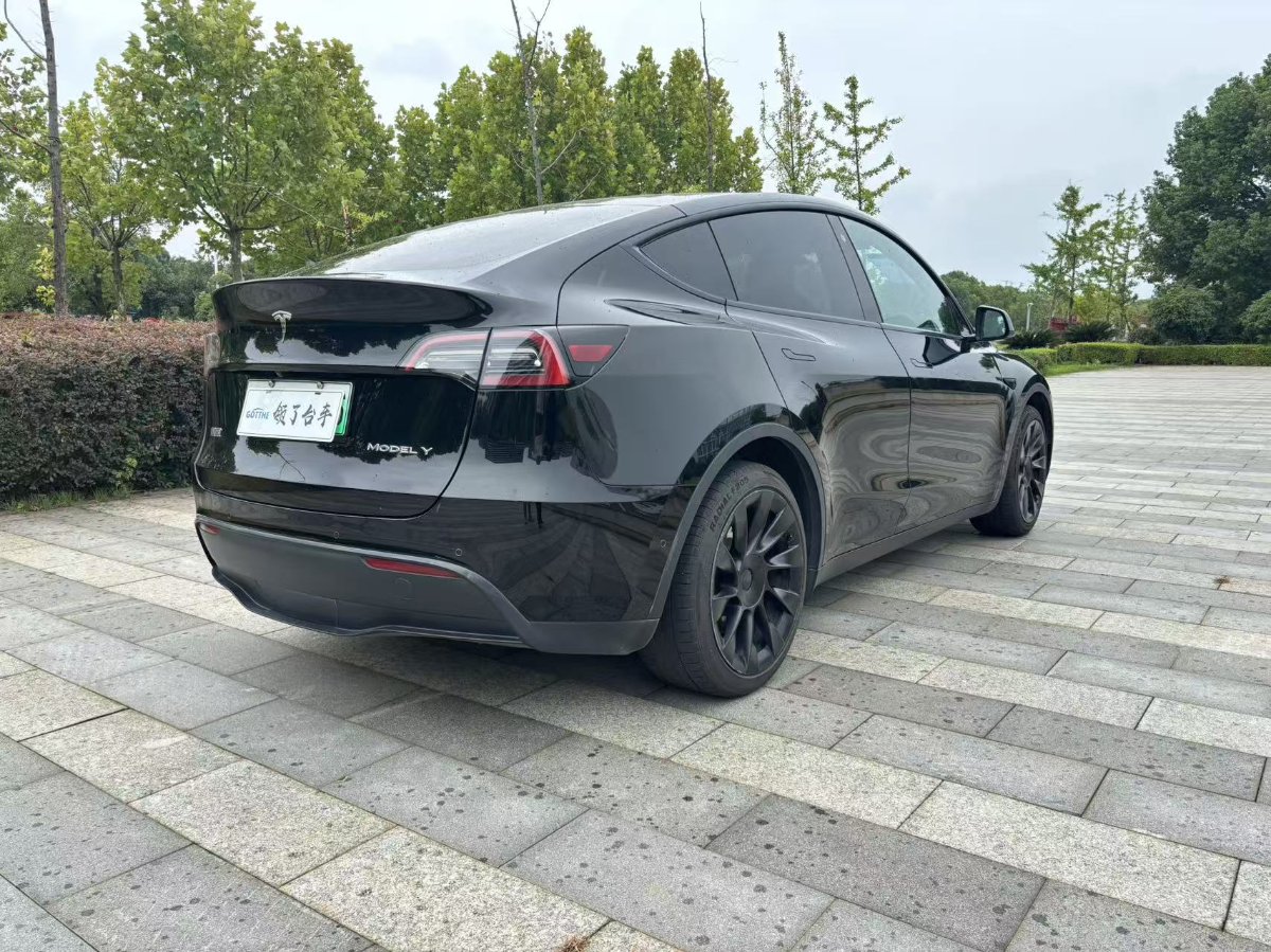 Tesla Model Y 2021 car image #4