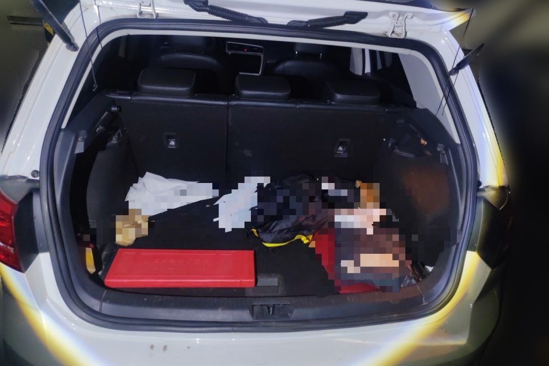 Volkswagen Golf 2014 car image #8