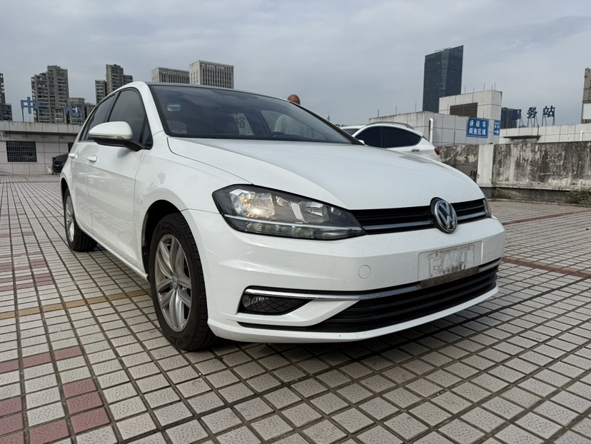 Volkswagen Golf 2019 Volkswagen Golf 2019 car image