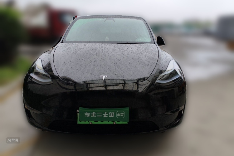 Tesla Model Y 2021 #3 Tesla Model Y 2021 car image #3