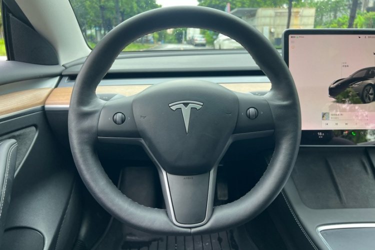 Tesla Model 3 2022 car image #4