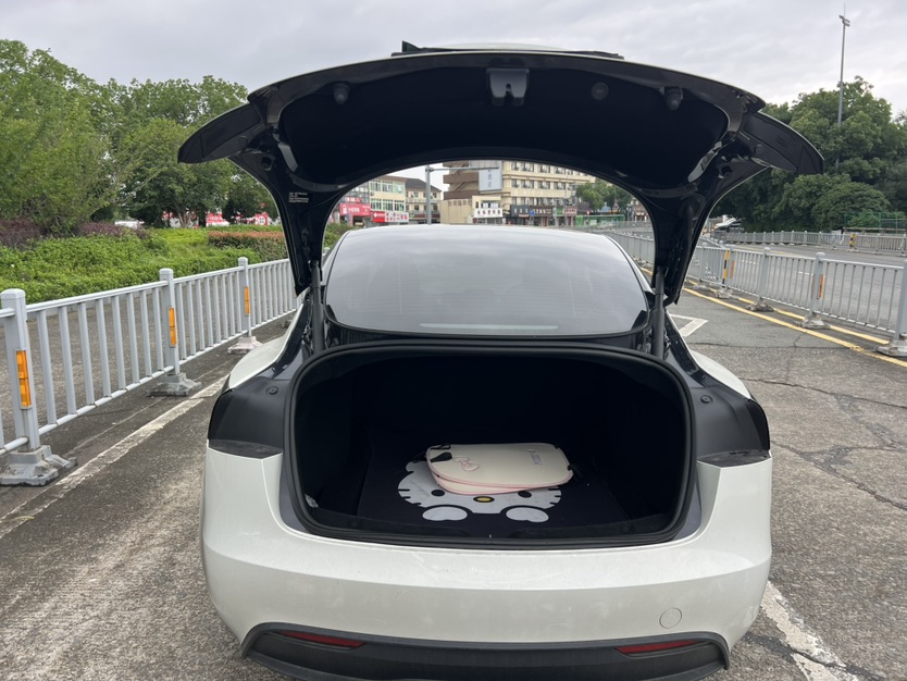 Tesla Model 3 2025 car image #9