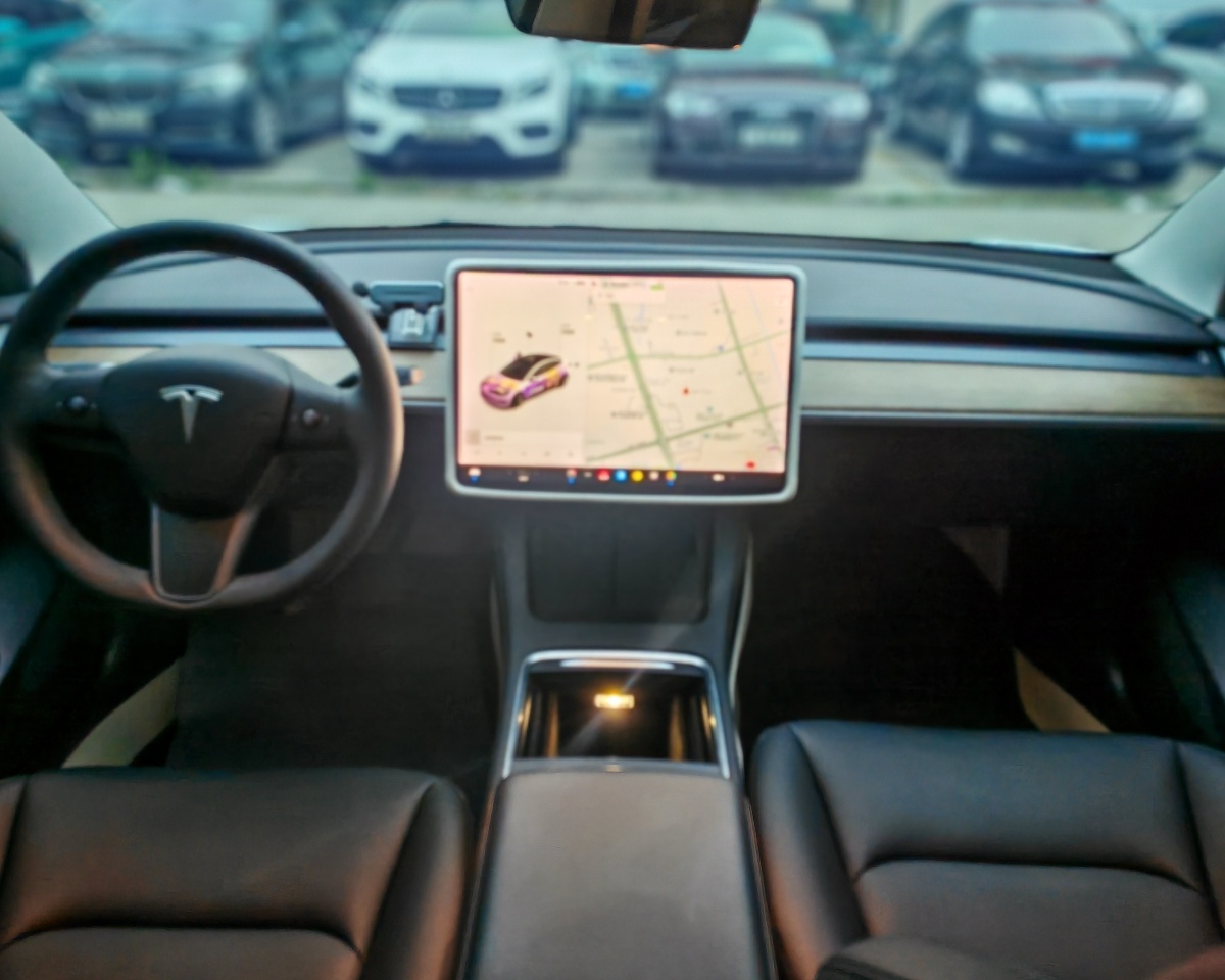 Tesla Model 3 2021 #6 Tesla Model 3 2021 car image #6