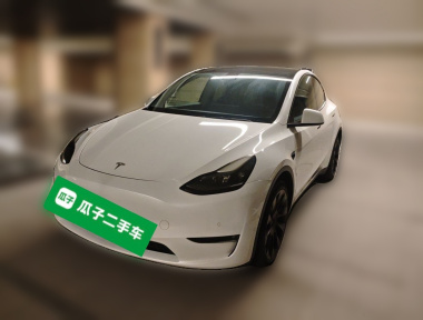 Tesla Model Y 2021 Tesla Model Y 2021 car image