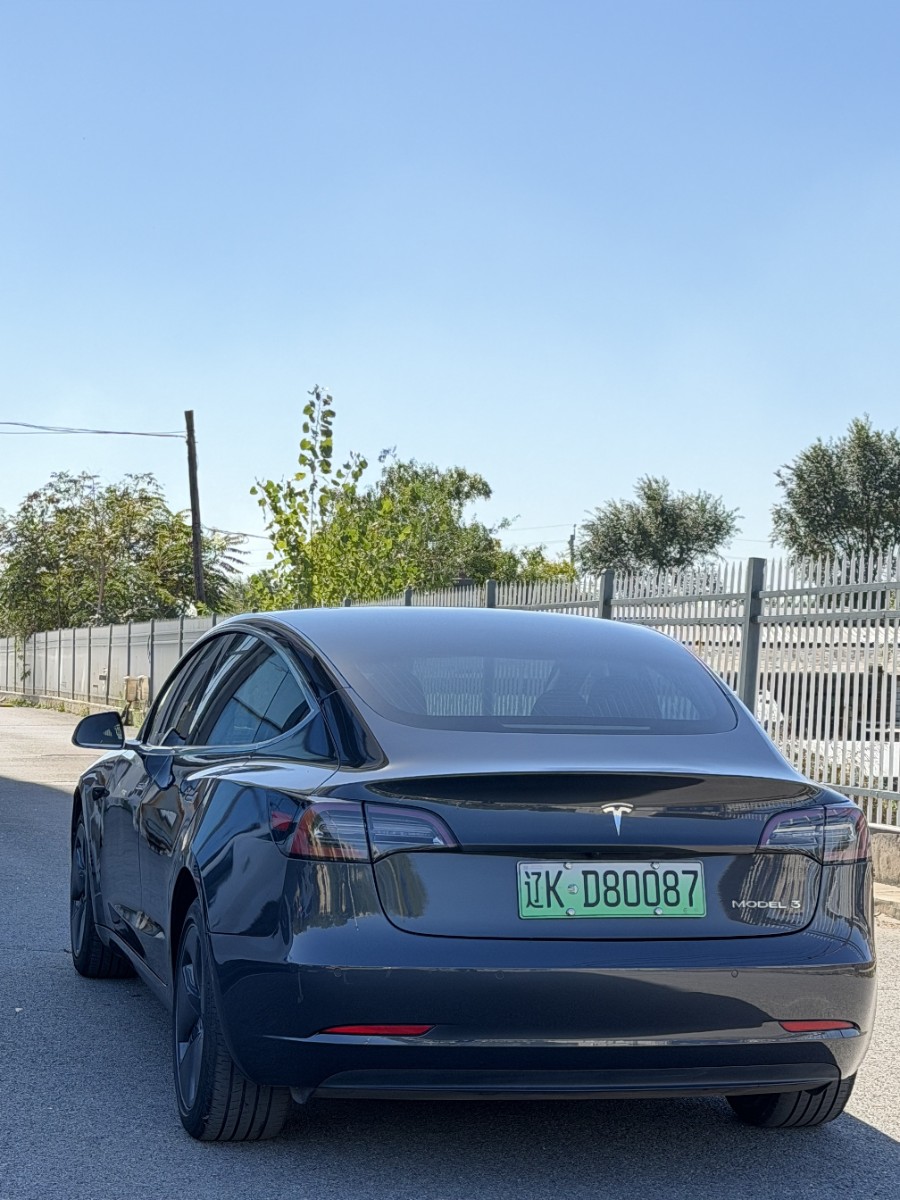 Tesla Model 3 2020 car image #6