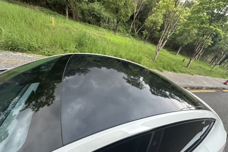 Tesla Model Y 2023 car image #30