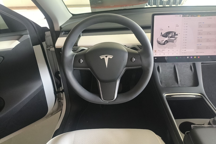 Tesla Model Y 2022 car image #11