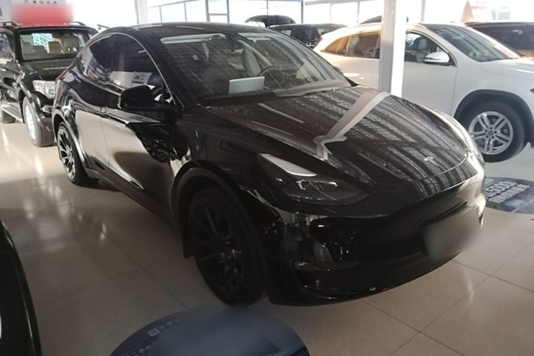 Tesla Model Y 2021 #6 Tesla Model Y 2021 car image #6